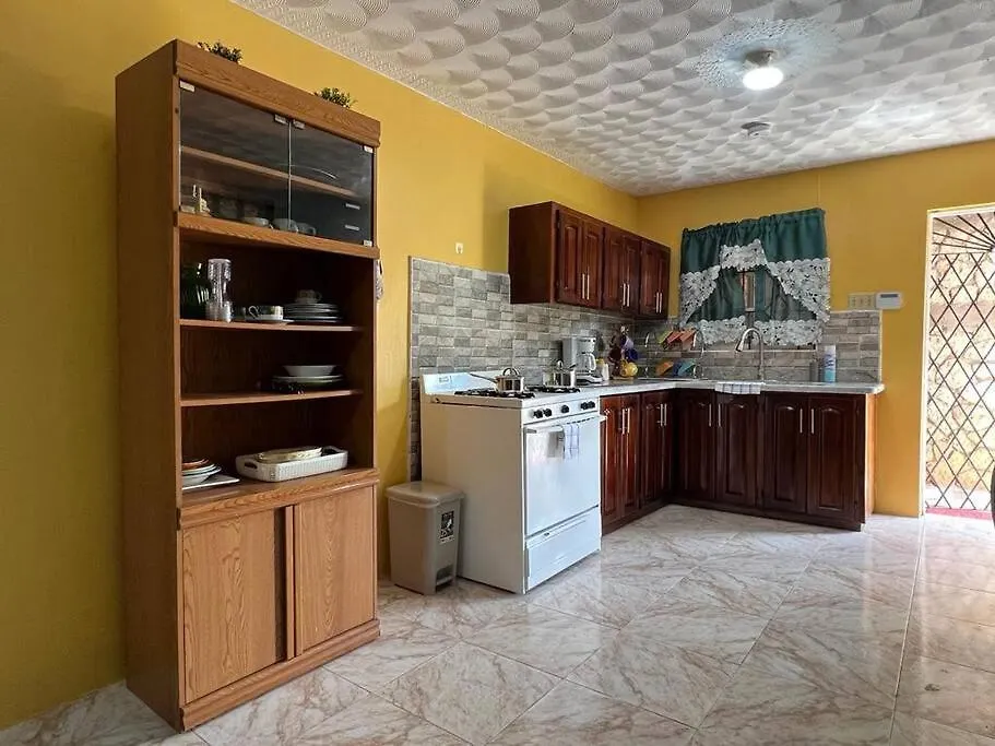 Apartmán Coolworthy Cozy Retreat Mandeville Jamajka